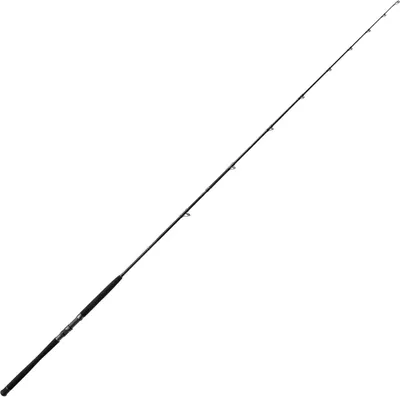 Produktbild von Bullseye Nazgul 260 30lbs Wallerrute