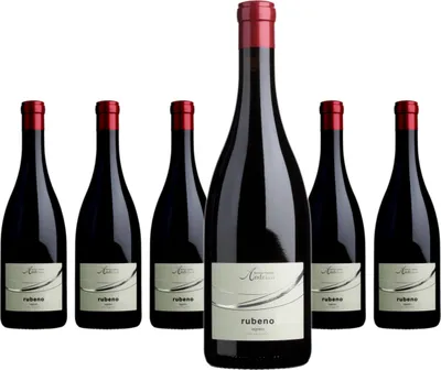 Produktbild von 6 x Cantina Andrian rubeno lagrein DOC