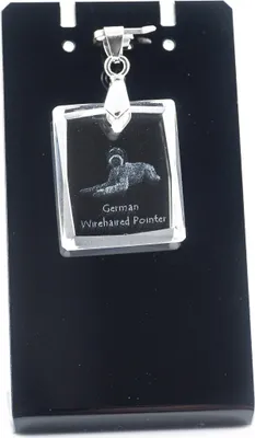 Produktbild von Deutsch Drahthaar - Kristallanhänger für Hunde, Foto-Halskette, einzigartiger Schmuck von Art-Dog