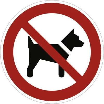 Produktbild von Dreifke® Aufkleber (Folie) "Mitführen von Hunden verboten", Ø20cm, Folie selb...