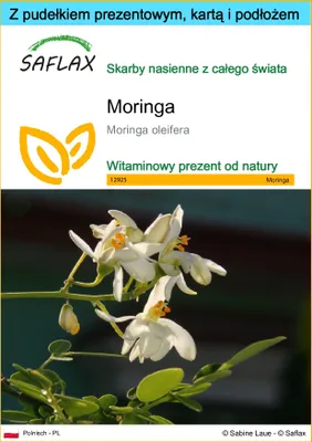 Zdjęcie produktu dla SAFLAX - Zestaw prezentowy - Moringa - 10 Nasiona - Z pudełkiem upominkowym, etykietą wysyłkową, kartą podarunkową i podłożem uprawowym - Moringa oleifera