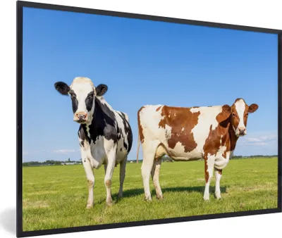 Produktbild von MuchoWow® Gerahmtes Poster Kühe - Bauernhof - Gras - Natur - Tiere 90x60 cm - Poster mit Schwarzem Bilderrahmen Wandposter Rahmen Foto Bilder - Fotorahmen - Foto-Plakat