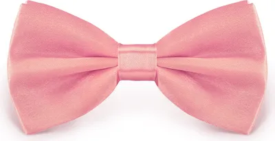 Produktbild von Fliege Altrosa Größe verstellbar aus Polyester einfarbig uni schmale 12 cm
