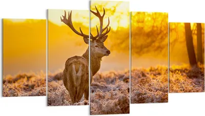 Produktbild von Bild auf Leinwand - Leinwandbild - Herbst landschaft natur blatt - 160x85cm - Wand Bild - Wanddeko - Leinwanddruck - Bilder - Kunstdruck - Wanddekoration - Leinwand bilder - Wandkunst - EA160x85-2552