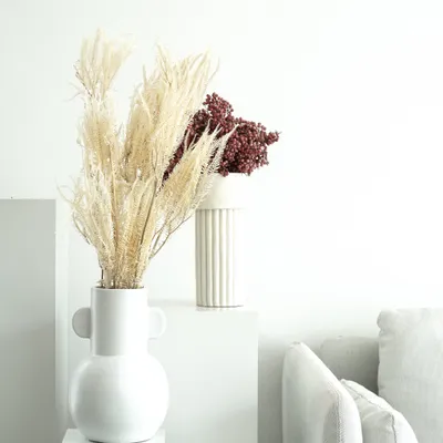 Image de Fougère séchée - 1 bouquet (mini, petit ou grand) - 1 à 7 tiges (60 à 75cm)