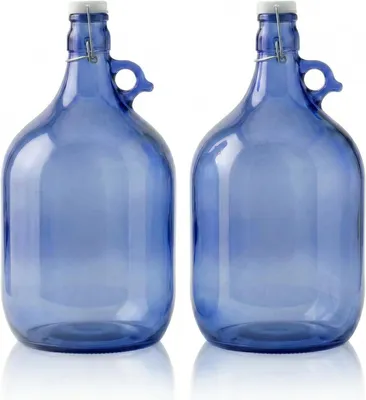 Produktbild von lilawelt24 2x 5L Glasballon Blau mit Bügelverschluss und Rundgriff