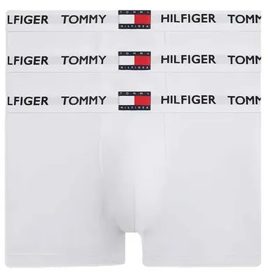 Image de Tommy Hilfiger Um0um03835 Couleur Blanc