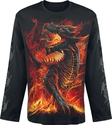 Produktbild von Spirale - Draconis - Langarm T-Shirt