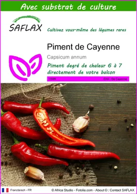 Image de SAFLAX - Piment de Cayenne - 20 graines - Avec substrat - Capsicum