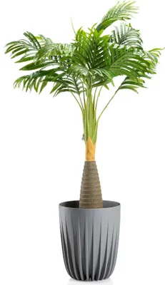 Immagine prodotto di HowHomely | Fioriera - Stripped - 25x29,7 cm - Grigio - Design moderno - Resistente alle intemperie e leggero