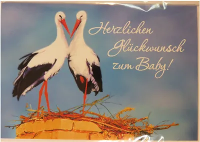 Produktbild von Cartolini Glückwunschkarte - Zur Geburt 8156-16 Grußkarte