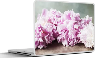 Produktbild von MuchoWow® Laptop Aufkleber Sticker Cover Blumen - Rosa - Pfingstrose - Botanisch 40x30 cm - Laptop Dekoration - Selbstklebend