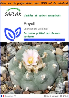 Image de SAFLAX Garden in the bag - Peyotl - 20 graines - Lophophora