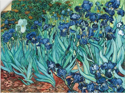 Produktbild von ARTland Wandbild, selbstklebend Iris (Schwertlilien). 1889 Größe: 120x90 cm