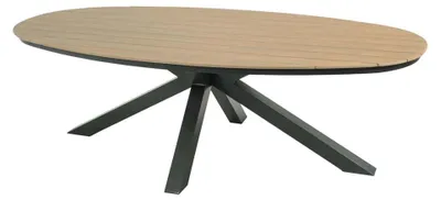Produktbild von Lesli Living - Gartentisch Arezzo - Anthrazit - 240x113x74cm