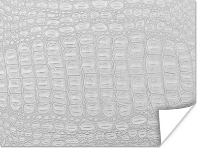 Produktbild von MuchoWow® Poster Leder - Textur - Tierhaut 120x90 cm - Wandbild