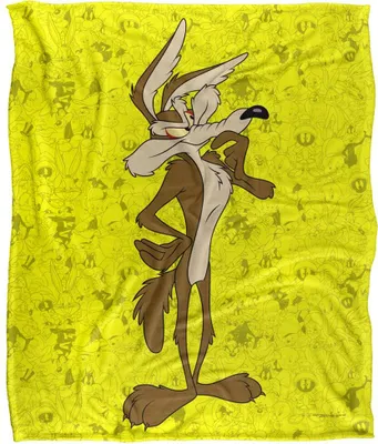Immagine prodotto di Looney Tunes - Coperta, collage di personaggi TV18727 (taglia unica) (Multicolore)
