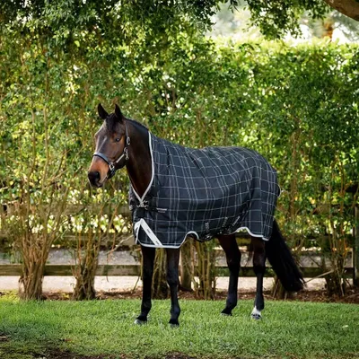 Produktbild von Horseware Weidedecke in Größe 115 - Rhino Wug Turnout 0g - Black/Grey/White Check/Gray