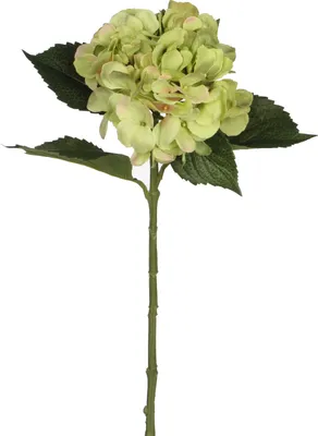 Produktbild von Mica künstliche Hortensie grün, 51 cm