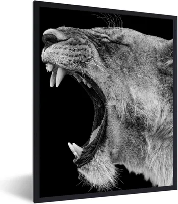 Produktbild von MuchoWow® Gerahmtes Poster Tiere - Löwe - Schwarz - Weiß - Porträt 60x80 cm - Poster mit Schwarzem Bilderrahmen Wandposter Rahmen Foto Bilder - Premium - Wanddeko Wohnzimmer