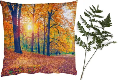 Produktbild von MuchoWow® Zierkissen Sofakissen Wohnzimmer Dekokissen 50x50 cm Bäume - Herbst - Wald - Herbstliche Blätter - Komfort - Sofakissen