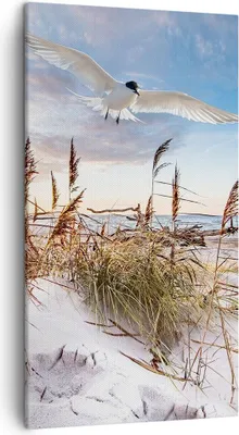 Produktbild von Bild auf Leinwand - Leinwandbild - Einteilig - Möwe Meer Küste - 45x80cm - Wand Bild - Wanddeko - Wandbilder - Leinwanddruck - Bilder - Wanddekoration - Leinwand bilder - Wandbild - PA45x80-4902