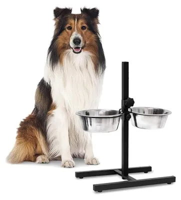 Image de Omgoods - Gamelle surélevée pour chiens, avec 2 bols en acier inoxydable