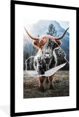 Produktbild von MuchoWow® Gerahmtes Poster Scottish Highlander - Schwarz - Weiß 60x90 cm - Poster mit Schwarzem Bilderrahmen Wandposter Rahmen Foto Bilder - Dekoration - Wandposter Wohnzimmer - Hochwertig