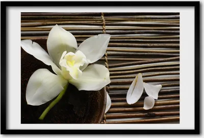 Produktbild von Bild 60x40 MDF-Rahmen, Wandkunst Orchidee