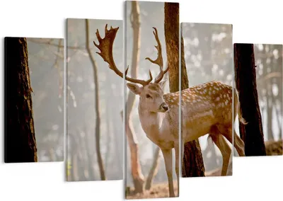 Produktbild von Bild auf Leinwand - Leinwandbild - Kitz Hirsch Tier wild - 150x100cm - Wand Bild - Wanddeko - Leinwanddruck - Bilder - Kunstdruck - Wanddekoration - Leinwand bilder - Wandkunst - EA150x100-2400