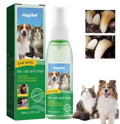 Zahnspray für Hunde & Katzen, gegen Zahnbelag, 30 ml