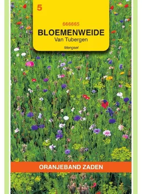 Zdjęcie produktu dla Oranjeband Tubinger Mischung - 1 opakowanie nasion