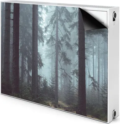Produktbild von Magnet Heizkörperverkleidung Heizkörper-Abdeckung Heizung Heizkörper 100x60 cm  - Nebliger Wald