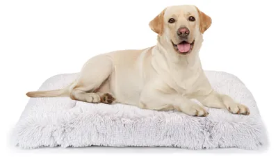 Immagine prodotto di Cuscino per cuccia da interno Ferplast, morbido con pelo lungo, adatto anche per gatti