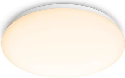 Image de Plafonnier LED Plafond 17W 1700lm 2700K Blanc Moire CL200 Philips