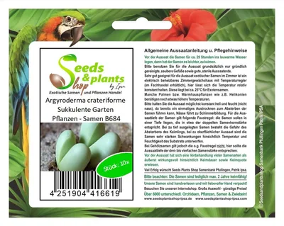 Produktbild von 10x Argyroderma crateriforme Sukkulente Garten Pflanzen - Samen B684