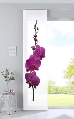 Produktbild von Schiebevorhang Bedruckt Flächenvorhang »Izmir« HxB 245x60 cm Orchidee Lila Microsatin Blickdicht Lichtdurchlässig mit Paneelwagen, 2022400B