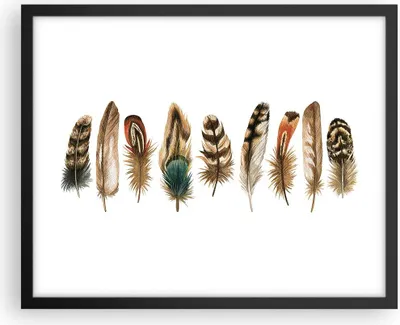 Produktbild von Gerahmtes Poster - Schwarzer Rahmen - Weiß Hintergrund Federn - 50x40 cm - Wand Bild - Wanddeko - Wandbilder - Kunstposter - Wandposter - Bilderrahmen - Bilder - Kunstdruck - P2BAA50x40-4419