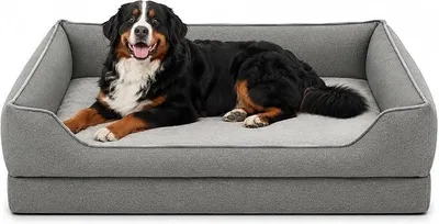 Imagen del producto de Cama ortopédica para perros grandes, tamaño XXL, 124 x 84 cm, color gris