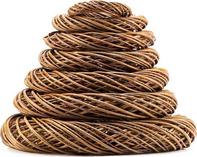 Image de Couronne de saule torsadée - Taille : 20 cm
