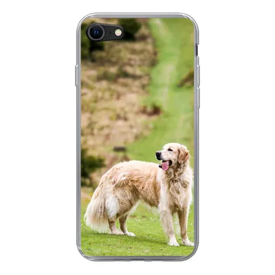 Produktbild von MuchoWow® Handyhülle Schutzhülle Hülle für iPhone 8 Schönes Bild eines Golden Retrievers Silikon Softcase Handy Hülle - Schutzhaube