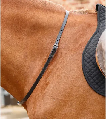 Image de Premier Equine Bracelet Altino Noir Full Noir Full