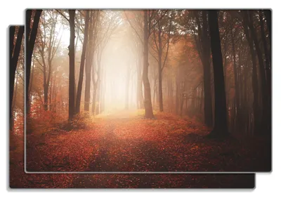 Produktbild von Wallario Frühstücksbrettchen 2er Set aus Glas, je 20 x 30 cm, mit rutschfesten Füßen, Motiv Herbstwald - Weg zu einer Lichtung im Wald