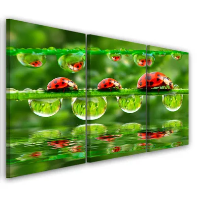 Produktbild von Triptychon auf leinwand grün natur 90x60 cm Feeby grün wandbild bereit zum aufhängen