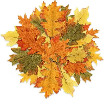 Image de 25 feuilles d'érable d'automne artificielles pour la décoration d'automne & le bricolage