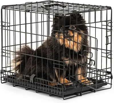 Immagine prodotto di Trasportino per cani - Contenitore per animali - Trasporto sicuro - Include divisorio - 45x31x36 cm - Nero