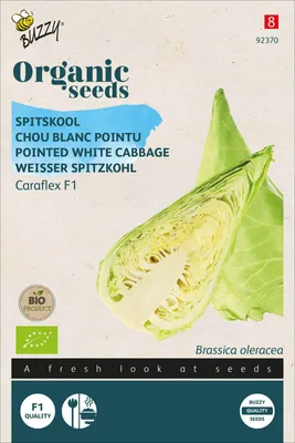 Produktbild von Weißer Spitzkohl Caraflex F1 |  Weißkohlsamen von Buzzy Seeds