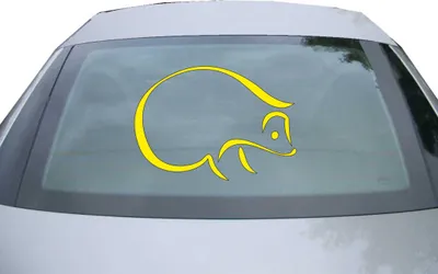 Produktbild von Indigos UG - Aufkleber Heckscheibe & Motorklappe DE2899 - gelb - 600x423 mm - Igel - Fisch - Auto Scheiben Fenster Heckklappe Tuning Racing JDM - Die cut