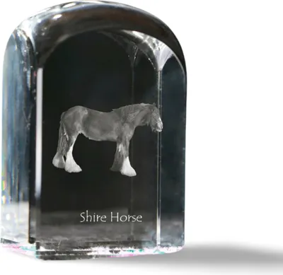 Productafbeelding van Graafschap kristallen stempel met paard Art-Dog