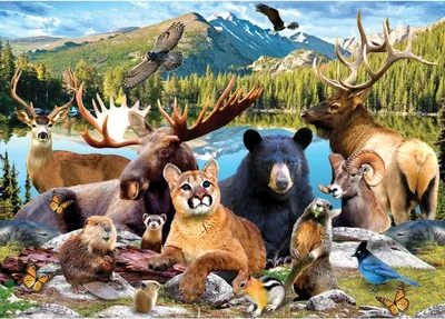 Productafbeelding van Master Pieces Puzzel: Nationale Parken, Rocky Mountains, 500 stukjes